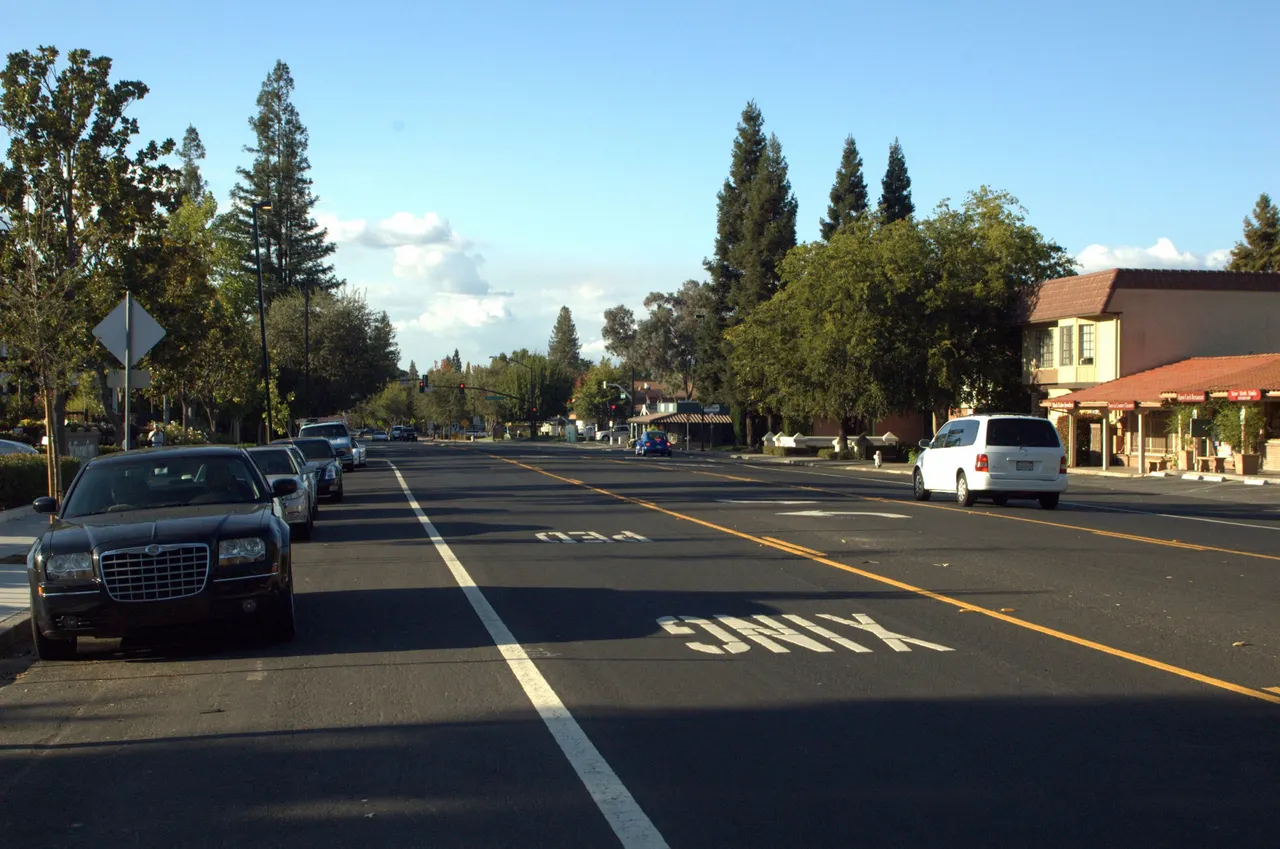 A view north along a downtown Alamo street, with trees, cars and shops on either side.