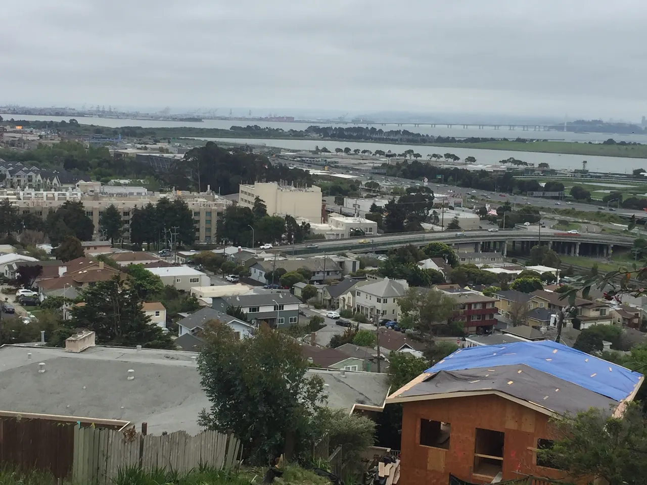 Albany neighborhoods and San Francisco Bay seen from Albany Hill.