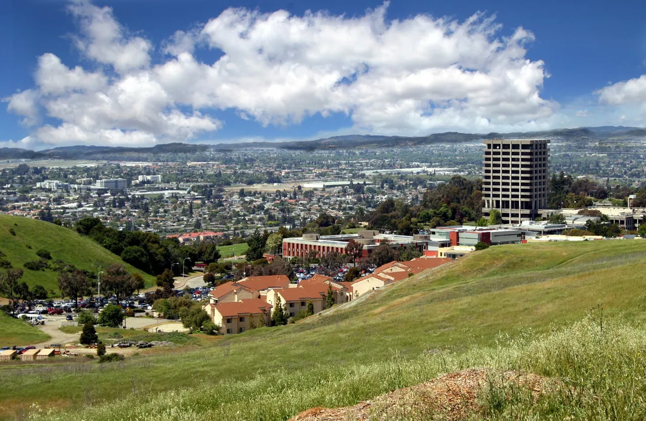 An archival view from the Cal State East Bay hillside across Hayward and the Bay.