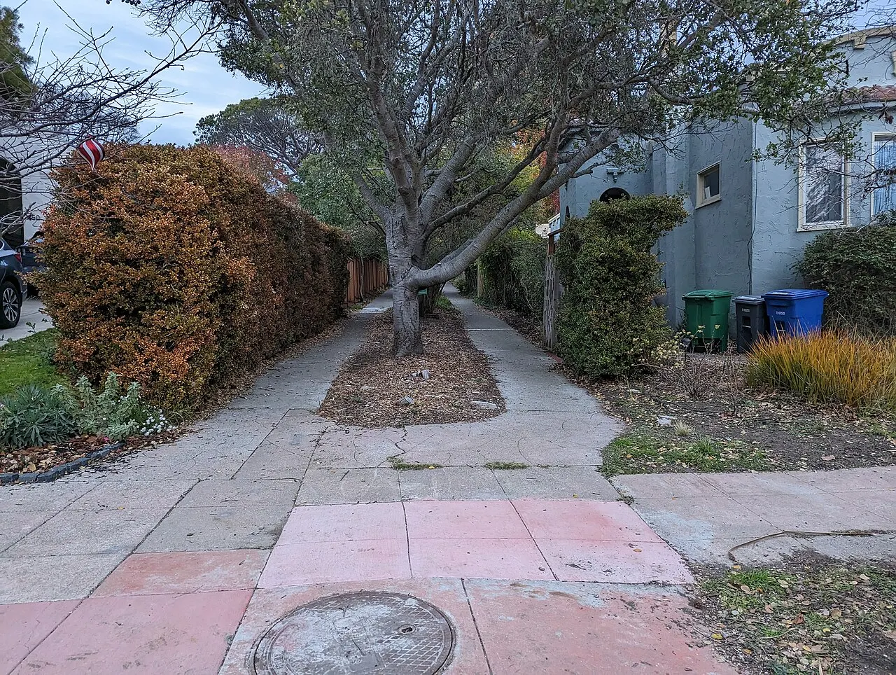 Ardmore Path leading between homes and trees in Kensington.