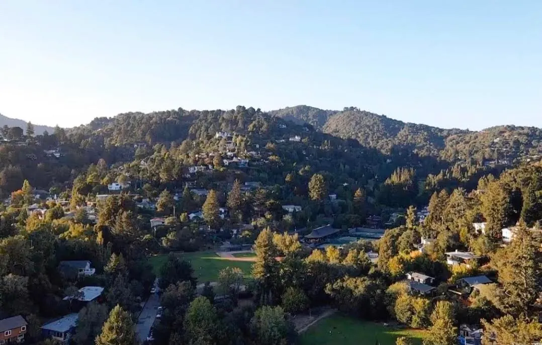 Homes and wooded hills in Mill Valley beneath a clear sky.