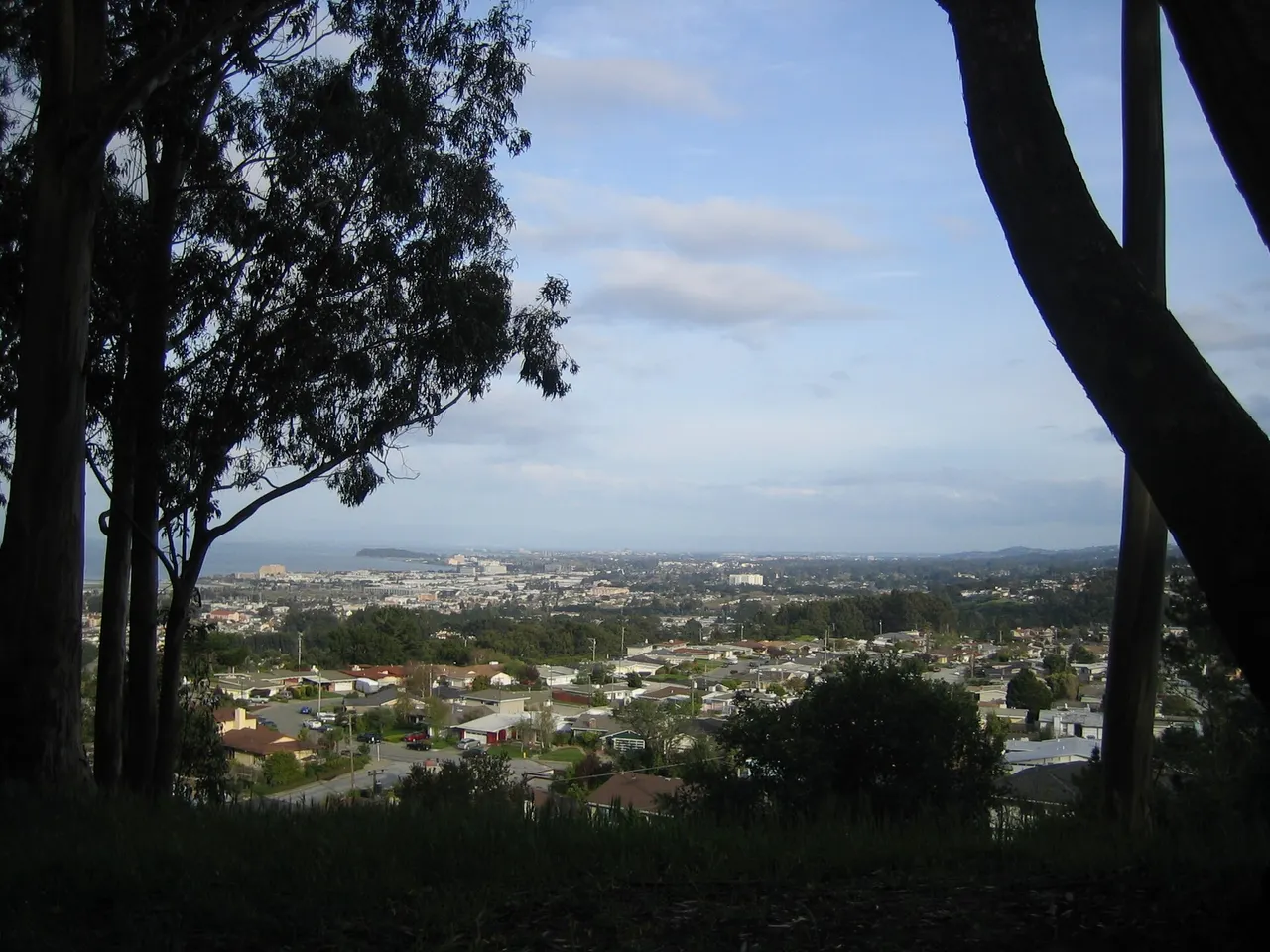 Millbrae and the Bay seen between trees from Junipero Serra Park.