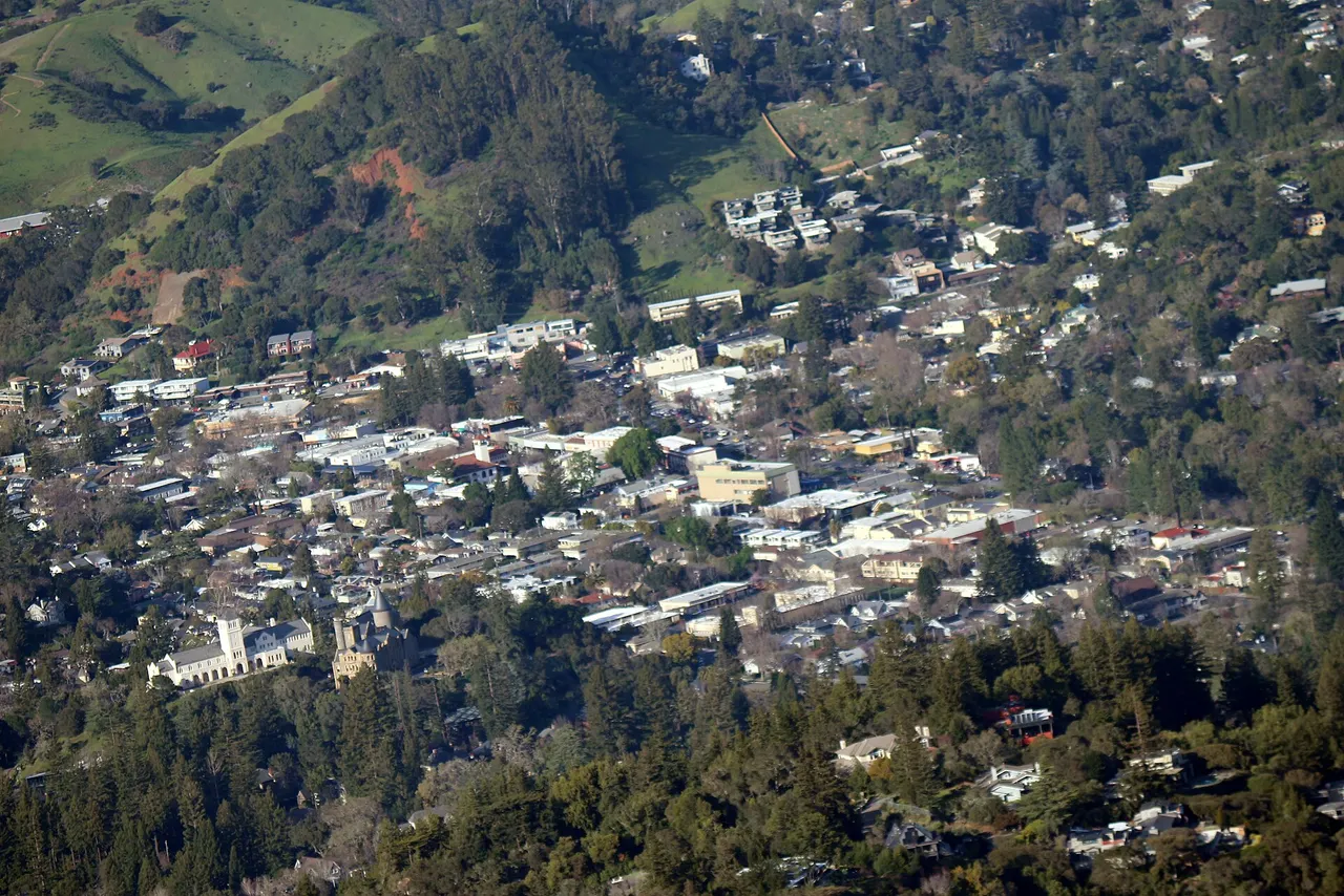 San Anselmo and surrounding wooded hills seen from Mount Tamalpais.