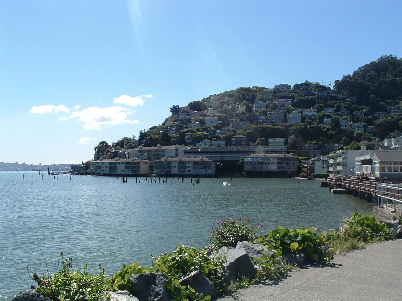 The waterfront and hillside homes of Sausalito beside the bay.