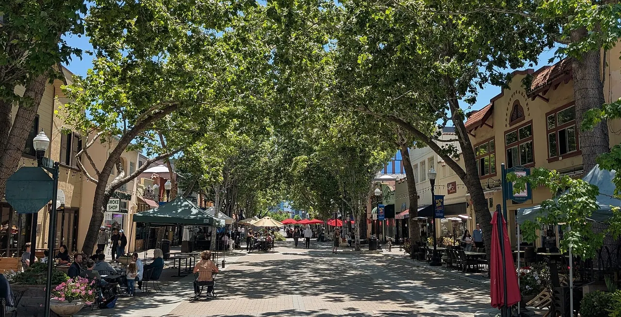 A tree-shaded pedestrian street lined with shops and outdoor seating in downtown Sunnyvale.